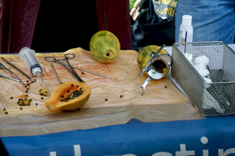 Demonstration von Abtreibungen mit Hilfe von Papayas